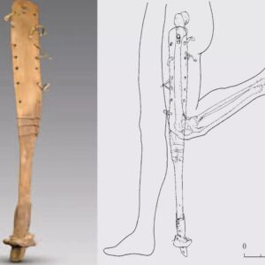 A Testament to Innovation: Remarkable Prosthetic Leg Discovered in Turpan's Ancient Tomb