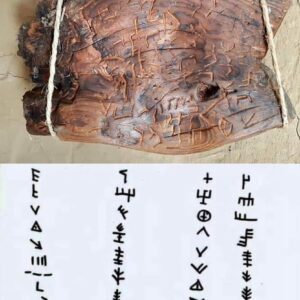 9000-Year-Old Enigma: Decoding the Secrets of the Dispilio Tablet from Kastoria, Greece