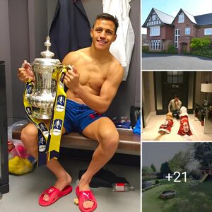 Inside Alexis Sanchez’s £2m mansion when he played for Arsenal, with mini football field and large garden