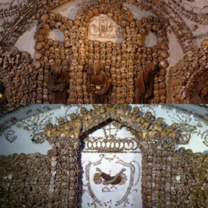 A Haunting Realm: Delving into the Capuchin Crypt's Chilling Display of 3,700 Skeletal Remains