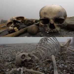 The Enigma of Skeleton Lake: Unraveling the Mystery in Roopkund, India