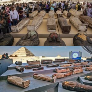 Sacred Encounters: Unearthing the Coffins and Bronze Statuettes in Saqqara's Bubasteion