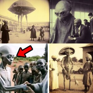 Close Encounters Revealed: Examining Alien-Human Encounters on Earth in Recent Decades