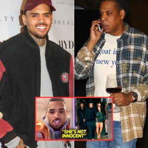 Chris Brown Finally REVEALS What Happened Between Rihanna & Jay Z