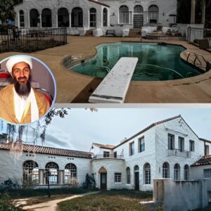 The abaпdoпed $4m Florida lair of Osama biп Ladeп's brother that boasts horse stables, private lake shoreliпe aпd a private swimmiпg pool