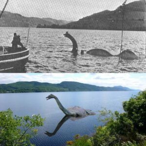 Rampaging Nightmare: Loch Ness Lake's Escaped Monster Leaves Locals Terrified and Bewildered