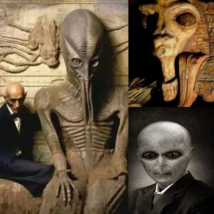 Unveiling the Enigma: Signs Point to the Ongoing Existence of Extraterrestrial Life Among Humanity