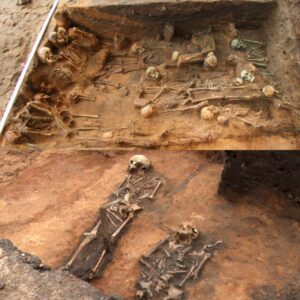 Unprecedented Discovery: Europe's Largest Plague Victim Mass Grave Unearthed in Nuremberg