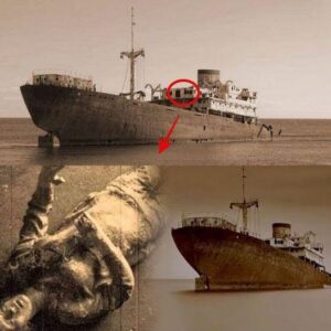 Exploring the Enigma: Unraveling the Mystery of the Deadliest Ghost Ship in History