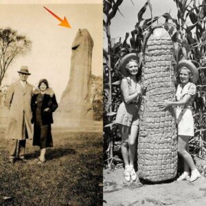 "The Natural Artistry: Exploring the Unintentional Phallic Symbol in Nature's Creative Expression"