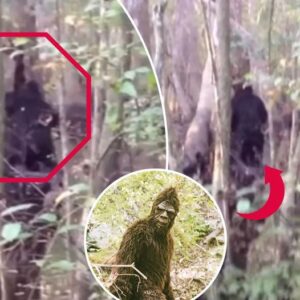 Astonishing Revelations: Frozen Bigfoot Feet and Head Unveiled in Recent Video!