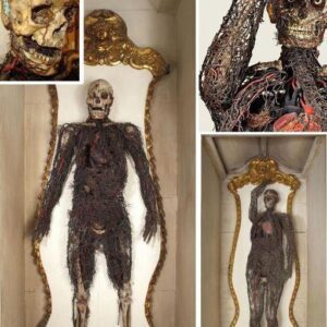 Unveiling the Anatomical Machines (1763): A Detailed Look at Human Circulatory System Reproductions