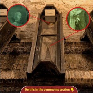 Ancient Enigma Unraveled: The Mysterious Mummy Vault of Wiewert, Netherlands, Revealed!