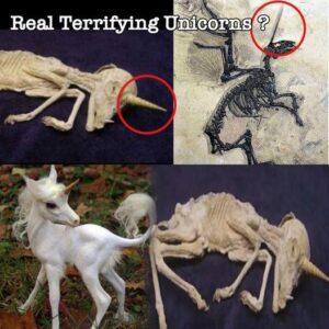 "Mythical Reality: Unearthed Unicorn Fossils Challenge Historical Narratives"