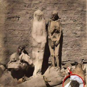 “Uncovering the Peculiar Situation of Street Vendors Peddling Mummies in Egypt”