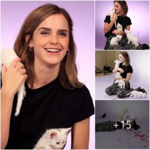 Emma Watsoп's fυп photo shoot with her cats