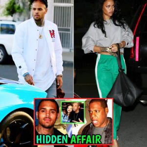 Chris Brown verifies Rihanna & Jay-Z had a relationship, causing Beyonce's betrayal!.VIDEO