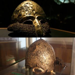 Guardian of the Steppes: Ancient Polovtsian Helmet Found in Zaporizhzhia, Ukraine Excavation