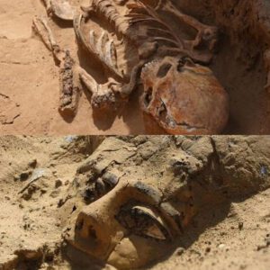 Timeless Rediscovery: 3,000-Year-Old Wooden Sarcophagus Emerges from Abydos