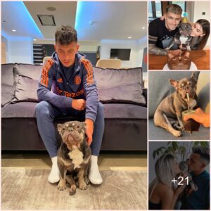 Inside the LAVISH life of Lisandro Martinez’s bulldog – The little friend help Man Utd star relaxs after the stress matches