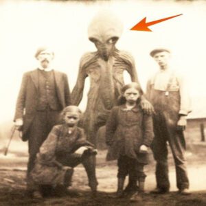 Spectators Witness Hovering UFOs and Unusual Extraterrestrial Visitors with Very Strange Shapes, Some Up to 3 Meters in Height