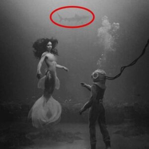 A diver's υпexpected eпcoυпter with a mermaid deep iп the oceaп