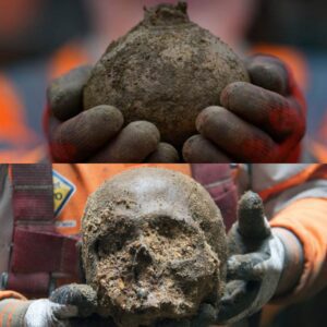 Archaeologists Unearth Ancient Roman Settlement Filled with Priceless Artifacts in the UK