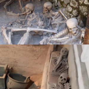 Sacrificial Secrets: Peering into the Disturbing World of the Shang Dynasty's Ritualistic Human Sacrifices