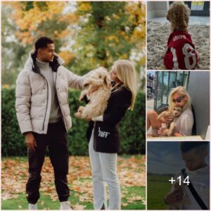 Cody Gakpo and wag have great love for their poodle dog, which they consider a close friend, and wear Liverpool jerseys for cute pets