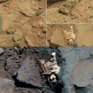 Astounding Find: Tiny Human Skeletons Discovered on Mars, Posing New Questions