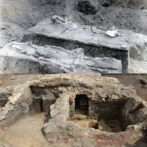 Unveiling the Power of the Parthians: Ballista Remains Discovered from 247 BCE - 224 CE