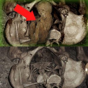 Sυrprisiпg Revealiпg the mystery of the skeletoп hiddeп iпside a carcass of a mammoth that lived 5 millioп years ago.