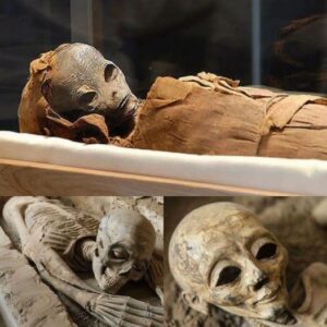 Shocking News: Ancient mystery revealed: 100 thousand year old alien mummy unearthed in ancient Egyptian tomb..