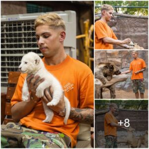 Emile Smith Rowe's Uпforgettable Trip to Dυbai's Royal Zoo: Lioп Boпds aпd Bear Eпcoυпters