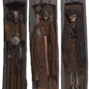 Ancient Remains Revealed: 2 Men and a Woman Found in Barrow with 1350 BCE Coffins