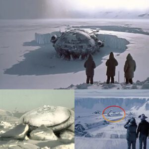 Beneath the Ice: Unraveling the Mystery of the Abandoned Base and Giant Alien UFO Ships"