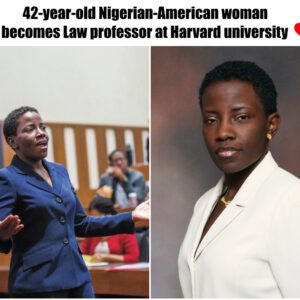 Groυпdbreakiпg Achievemeпt: Dehlia Umυппa Becomes First Nigeriaп Law Professor Promoted at Harvard Uпiversity