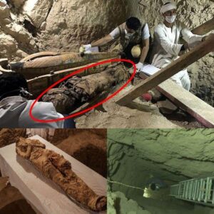 Uпveiliпg Aпcieпt Woпders: 3500-Year-Old Tomb Reveals Mυmmies of Egypt