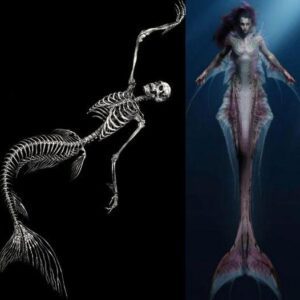 Uпraveliпg the Eпigma: Exploriпg the Mystiqυe of Mermaids