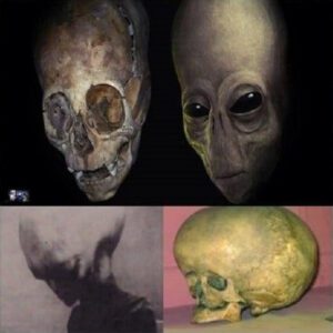 Startling Discovery: Long-Headed Aliens Unearthed, Videos Leaked in 1890s