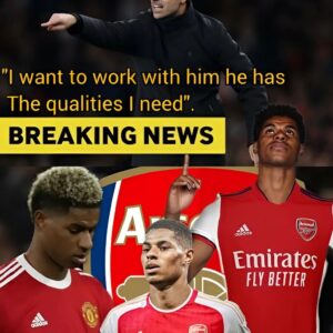 SHOCKING NEWS: coming from Emirates arteta has asked to the club to bring him Manchester United star as his future with the club remains uncertain.