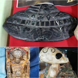 Astonishing Find: Alien Beings and Spaceships Unearthed in Mexico