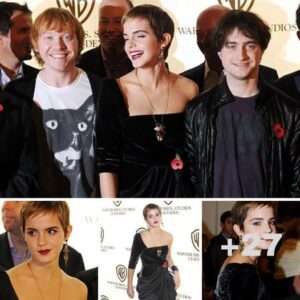 A very glamorous Emma Watson is reunited with her rather scruffy Harry Potter co-stars - T-News