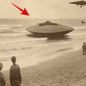 Admiral Byrd’s Encounter: Witnessing a UFO Strike a Warship During the 1947 Antarctic Expedition and Surviving an Attack in Miami Beach by the Military