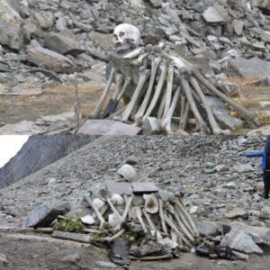 Into the Depths: Unearthing the Truth behind the Giant Human Bone Lake in the Himalayas