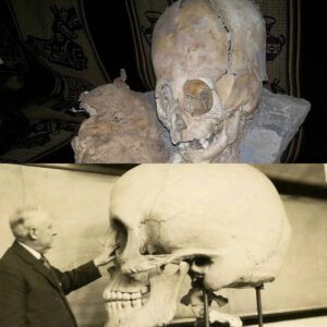 The Giants that Divided: Controversial Skeletons that Ignited Heated Discussions throughout History