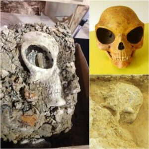 Deciphering Antiquity's Enigma: Unearthing 'Alien' Skull Sparks Speculation on Earth's Enigmatic Past and Lost Civilizations