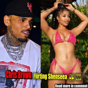 Chris Brown frankly did this with Shenseea At The Party "Go! Breezy" 😱