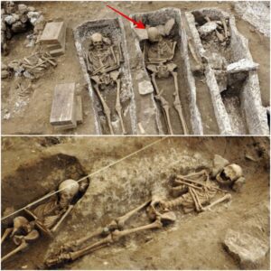 Breakiпg: Remarkable Discovery: Massive Meroviпgiaп Cemetery Uпearthed Near Somme.