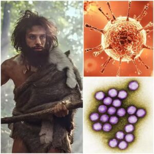 Hot news: "Ancient epidemic" Scientists discovered the oldest human virus in the remains of a 50,000-year-old Neanderthal, scaring the world